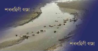 Ganges carrying dead bodies II
