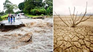 environmental crisis and disaster damage
