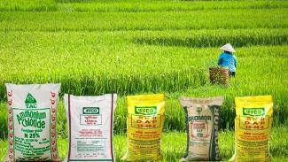 black market of fertilizers