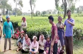 tribal-workers-attacked-in-closed-tea-gardens-in-chopra